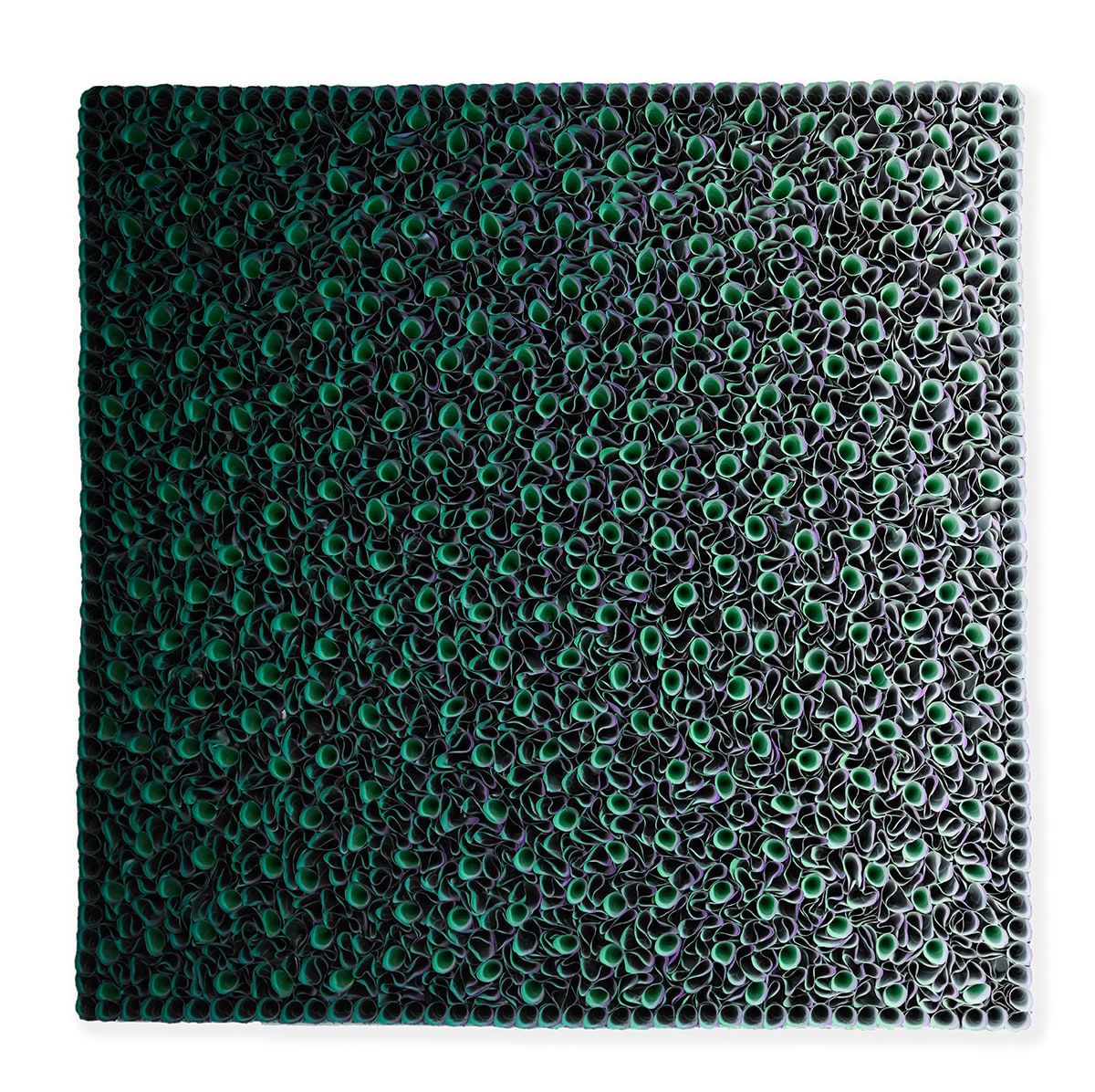 Zhuang Hong Yi, Forest Splendour, 2024