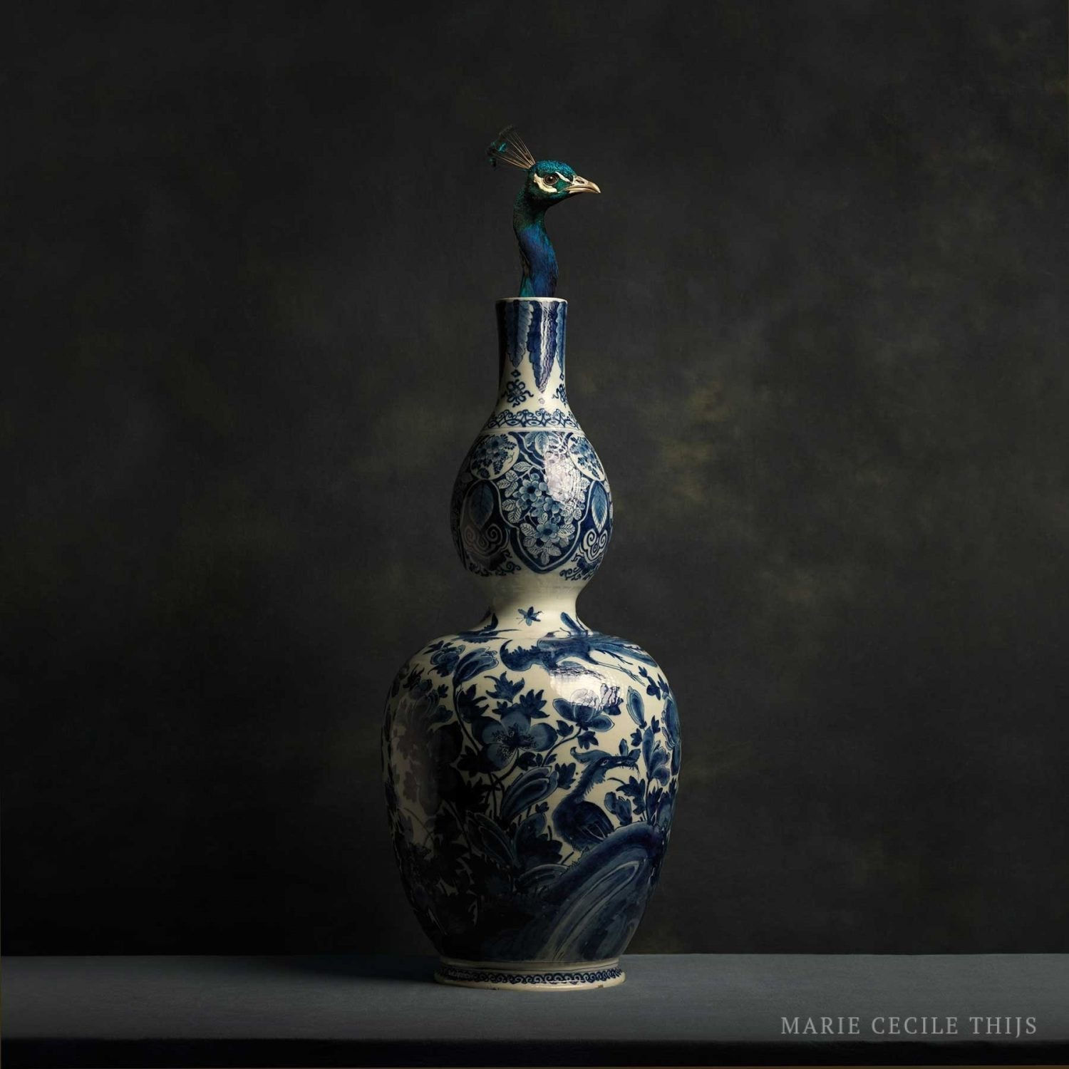 Marie Cecile Thijs, Peacock & Vase