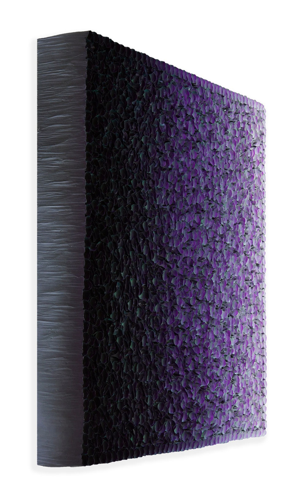 Zhuang Hong Yi, Forest Splendour, 2024