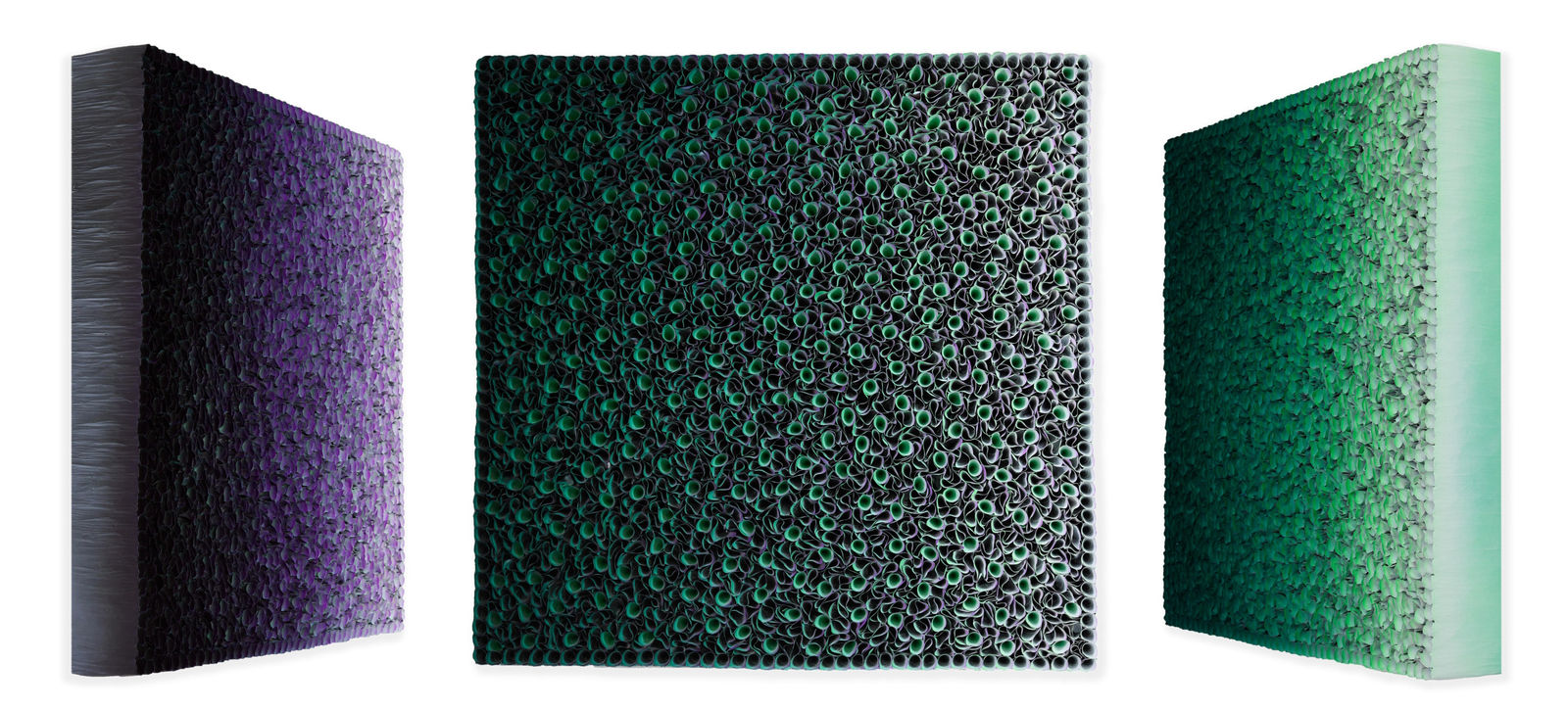 Zhuang Hong Yi, Forest Splendour, 2024