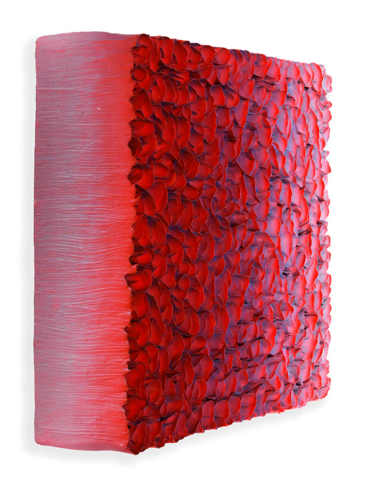 Zhuang Hong Yi, Field of Tulips, 2025