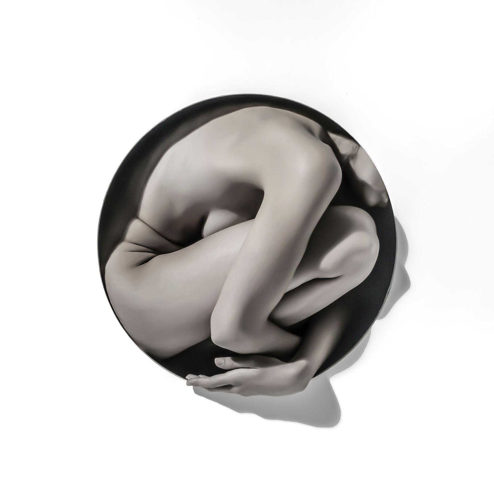 Jeff Robb, Apeture Nicole