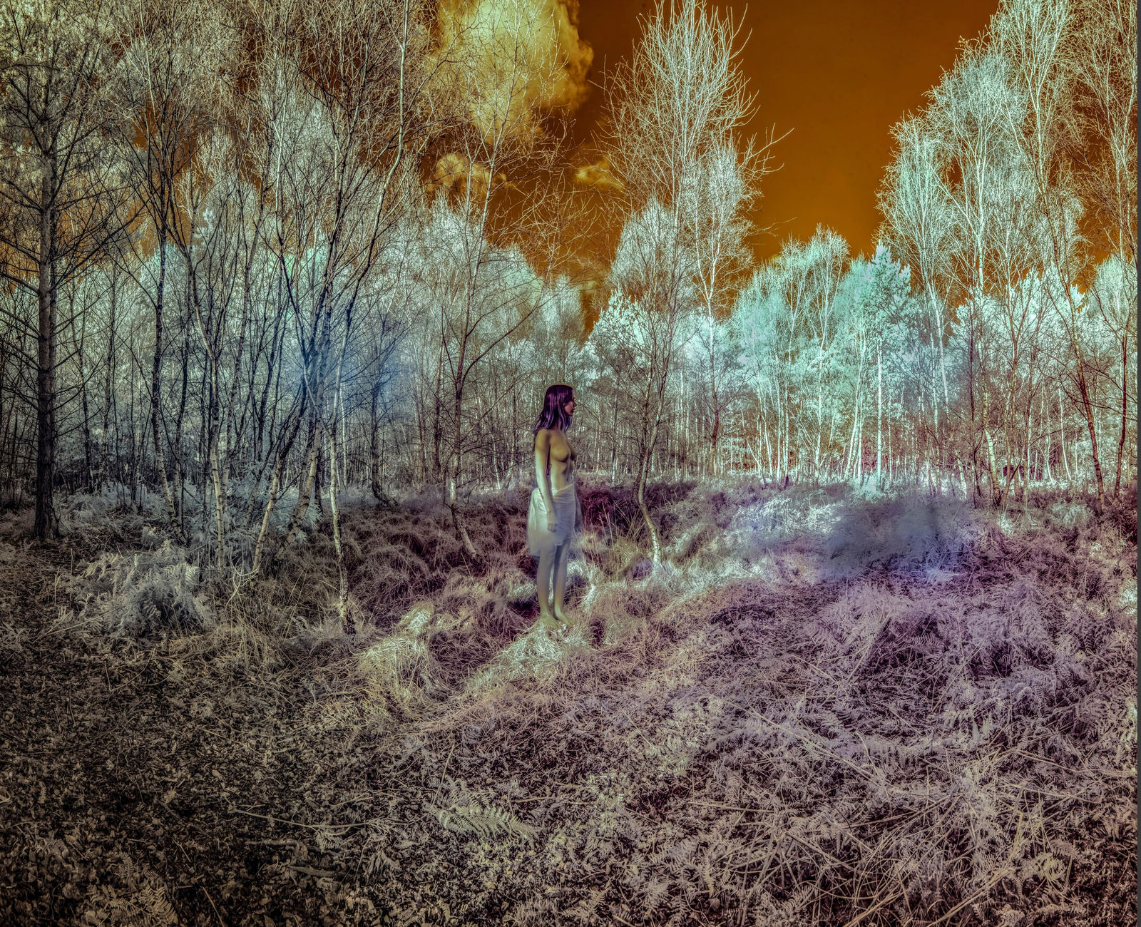 Jeff Robb, IR Triptych 3