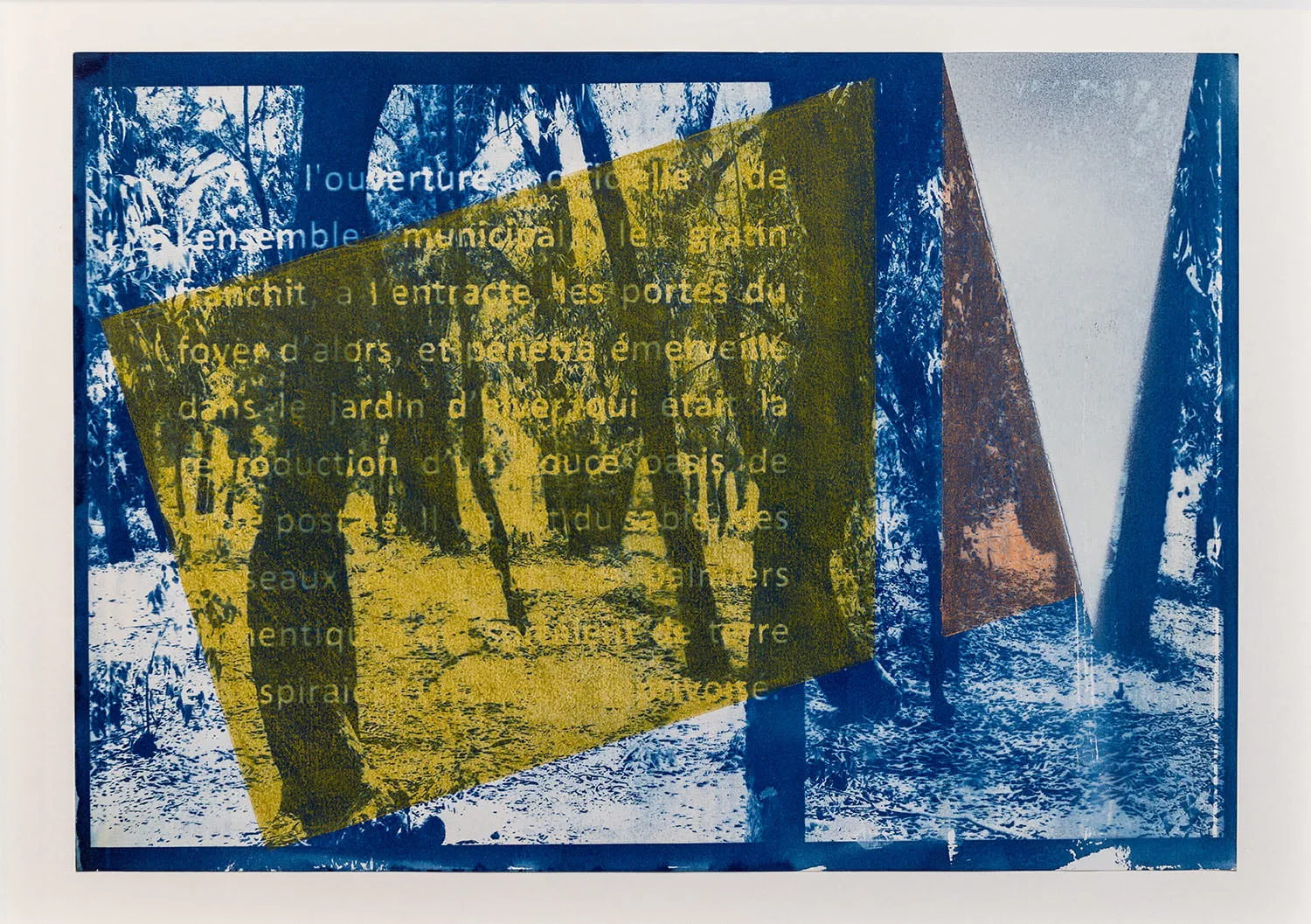 Farah Khelil, Photosynthèse #12, 2023