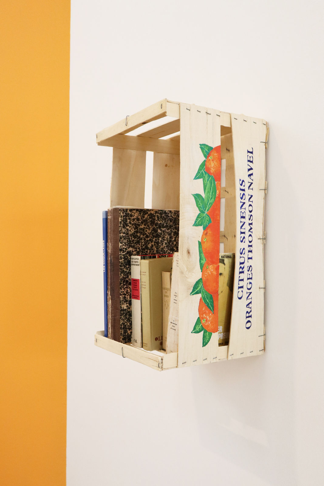 Emma Ben Aziza, Citrus Sinensis Thomson Navel, Chapitre I Le dernier arbre du jardin, 2023