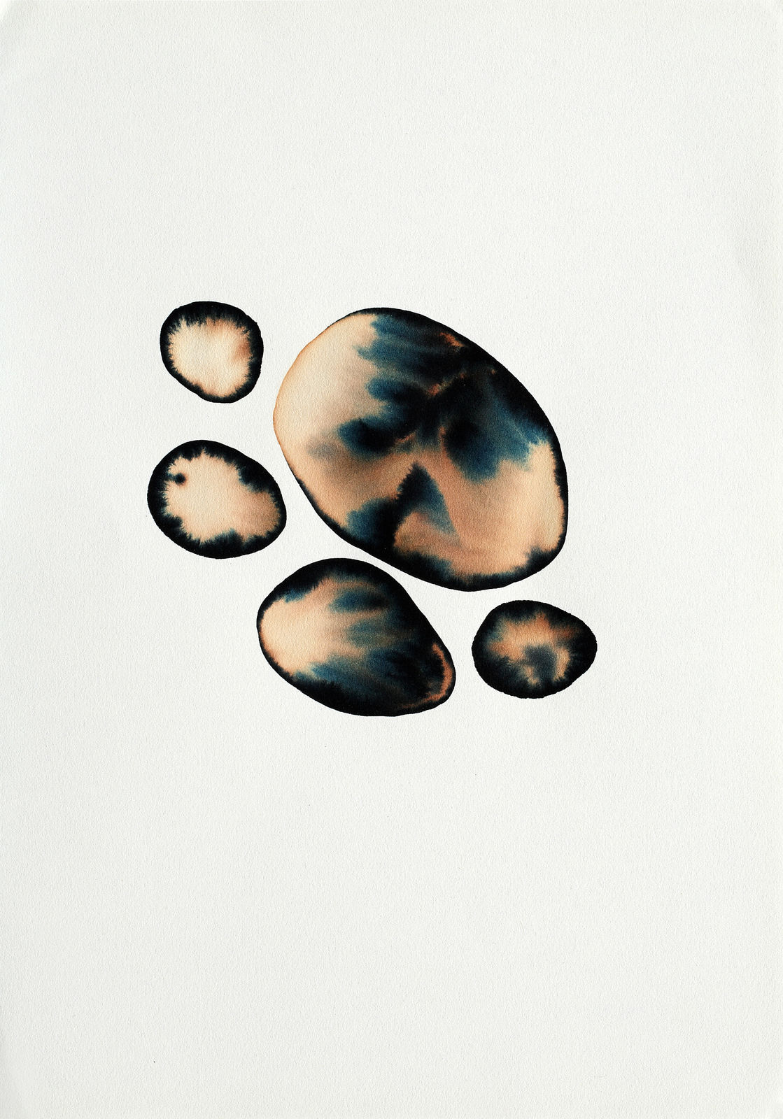 Fakhri El Ghezal, Astres perdus 9