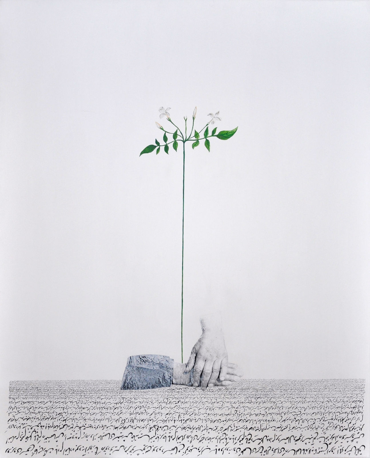 Katayoun Rouhi, Les versets maternels, le jasmin, 2024