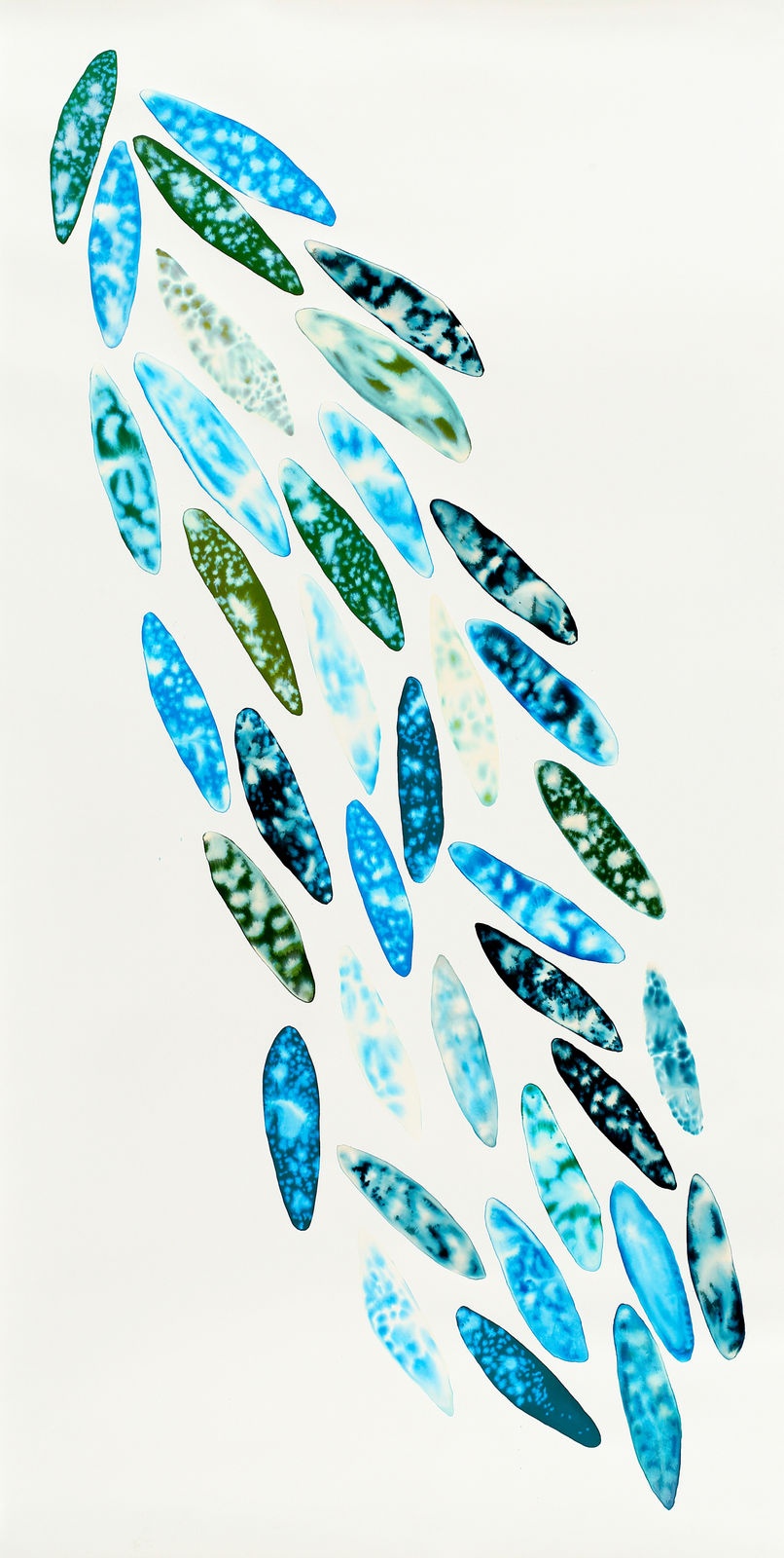 Fakhri El Ghezal, Migration 1, 2O24