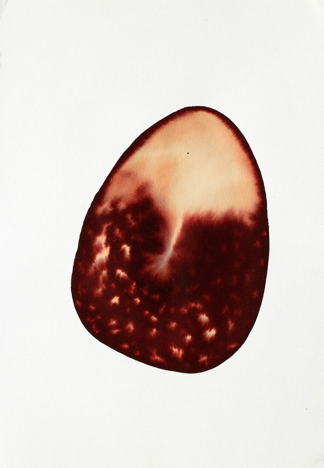 Fakhri El Ghezal, Astres perdus 2, 2023