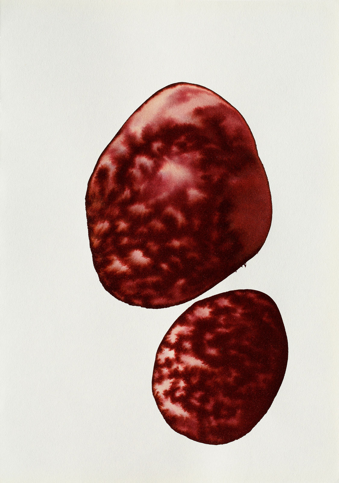 Fakhri El Ghezal, Astres perdus 1 , 2023