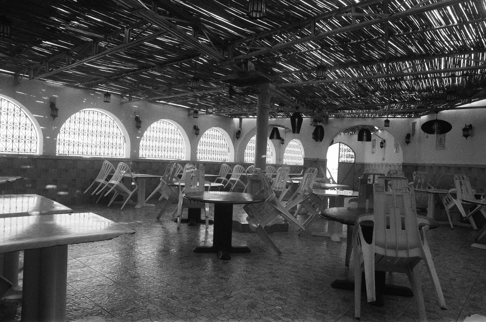 Fakhri El Ghezal, #6 Oiseau bleu (2), novembre 2021