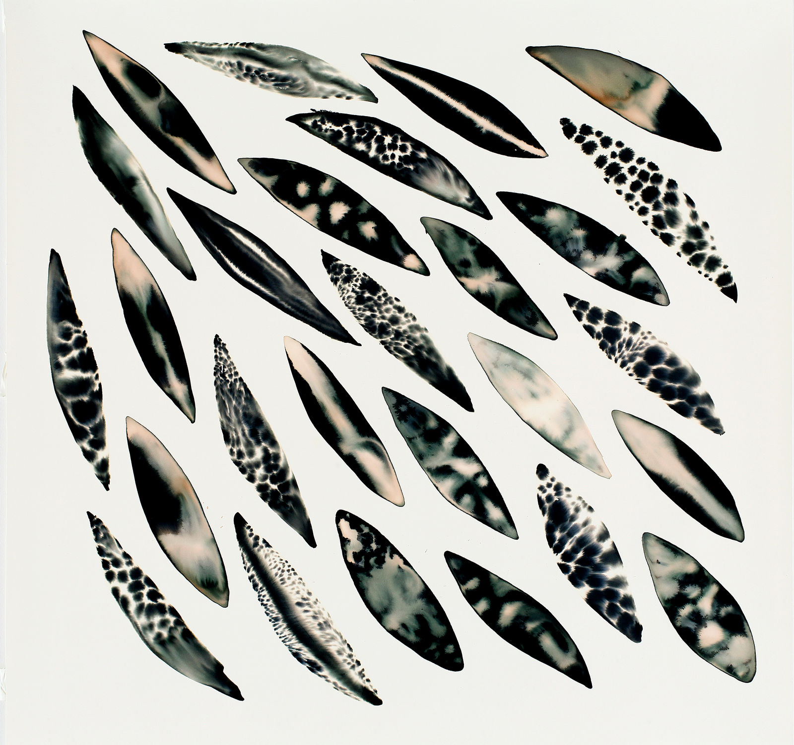 Fakhri El Ghezal, Migration 4, 2023