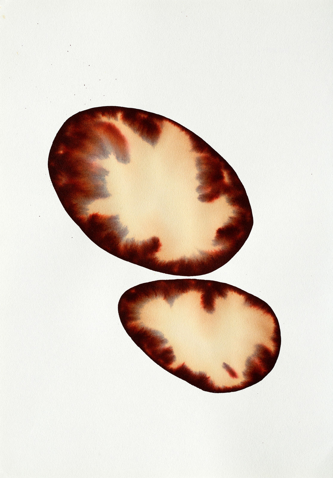 Fakhri El Ghezal, Astres perdus 3, 2023