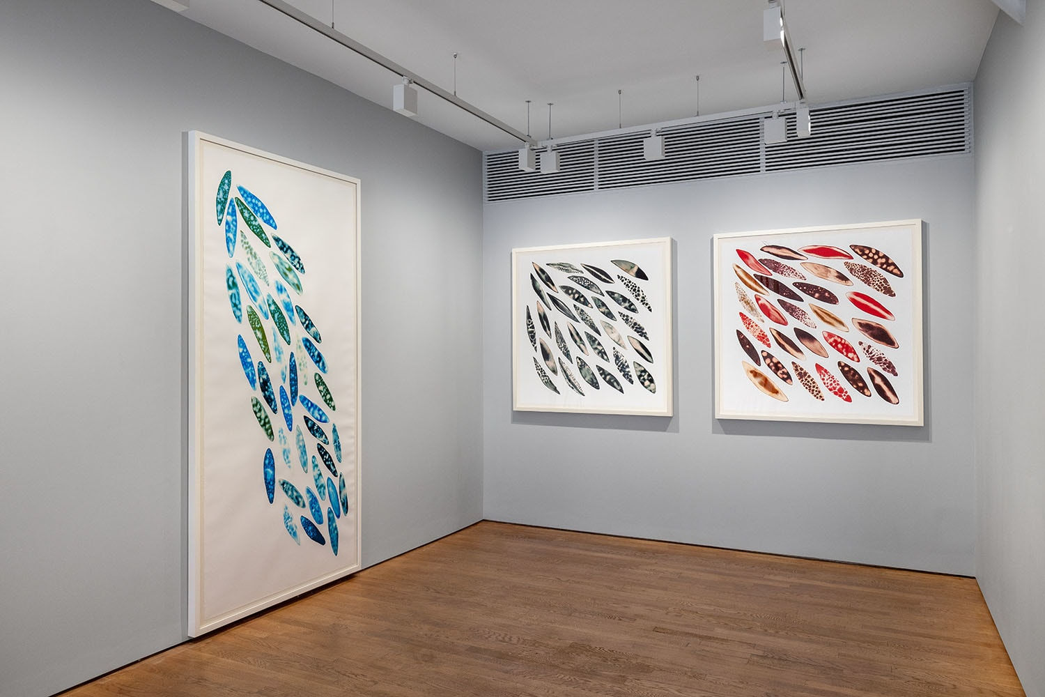 Fakhri El Ghezal, Migration 3, 2024