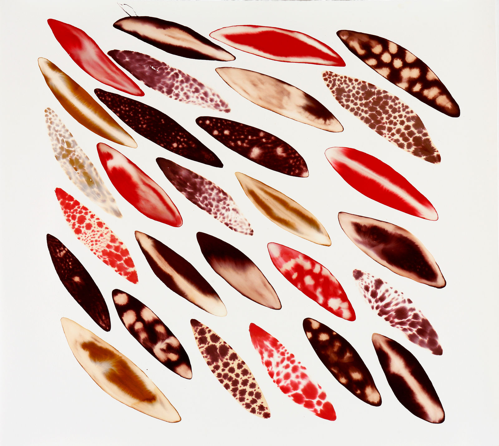 Fakhri El Ghezal, Migration 3, 2024