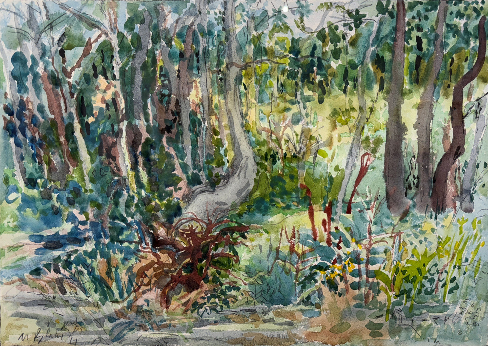 Nell Blaine, Tree at the Edge of the Field, Springs, 1967