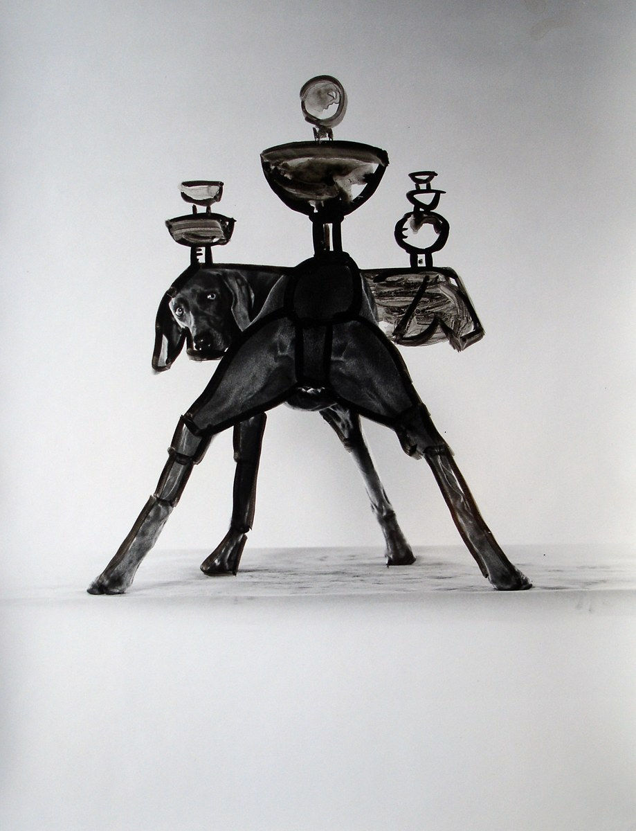 William Wegman, Surveyor, 1996