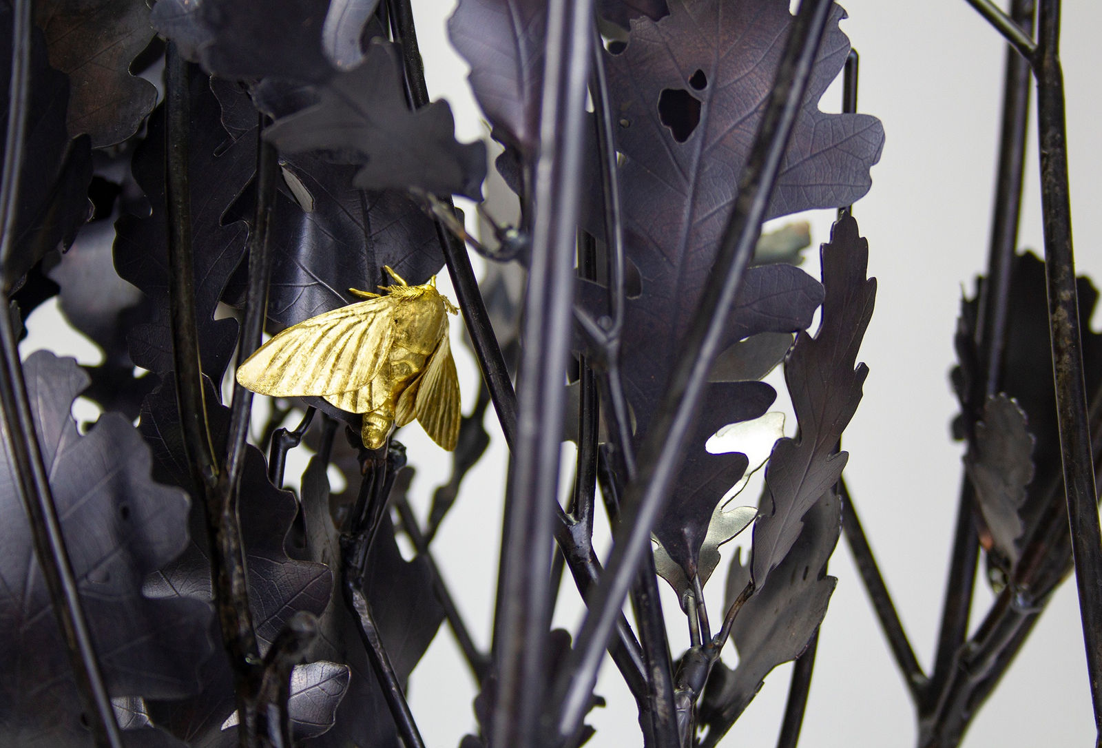 Kim Cridler, Ward, 2022