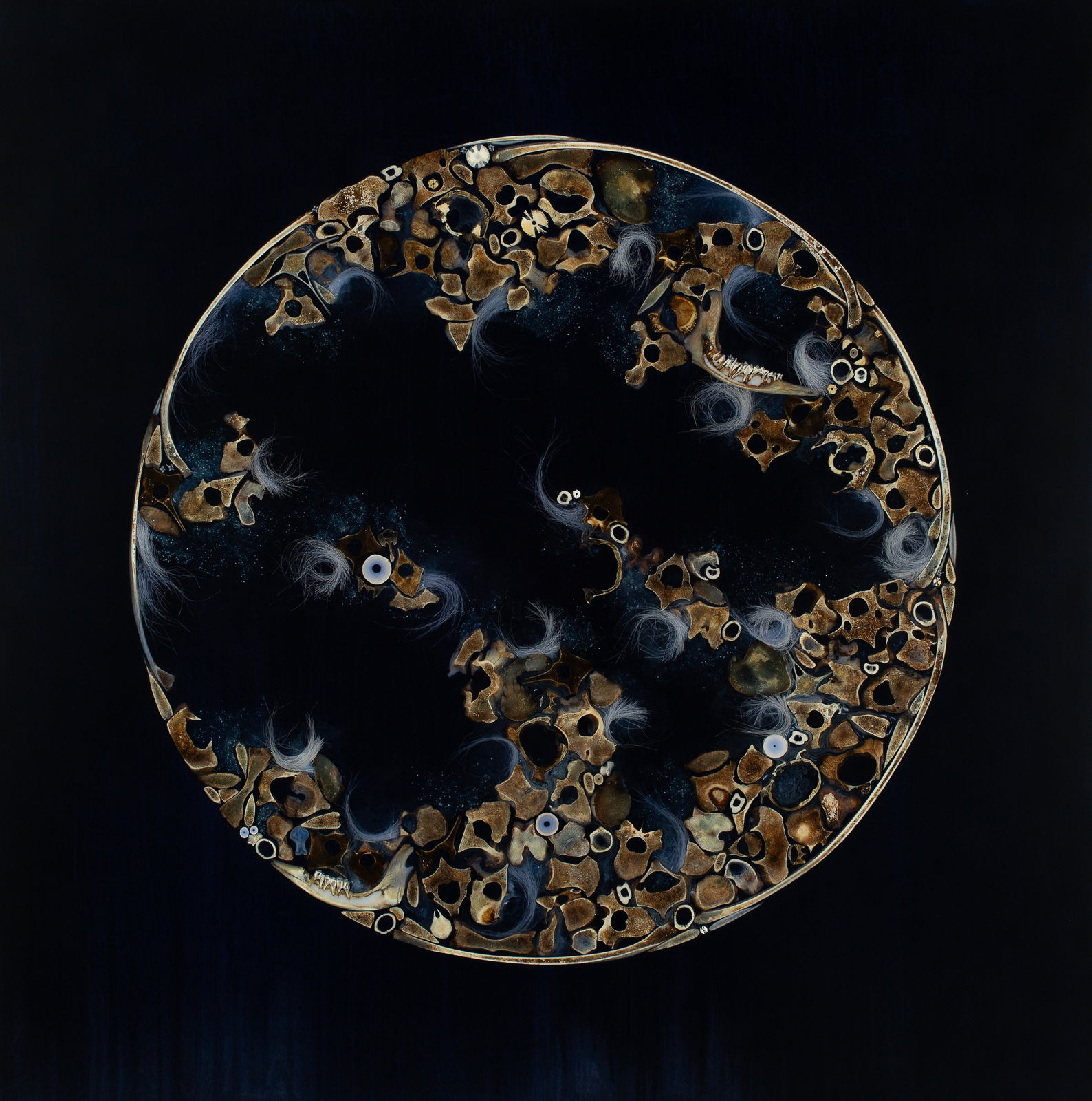 Mayme Kratz, Hunter's Moon, 2024