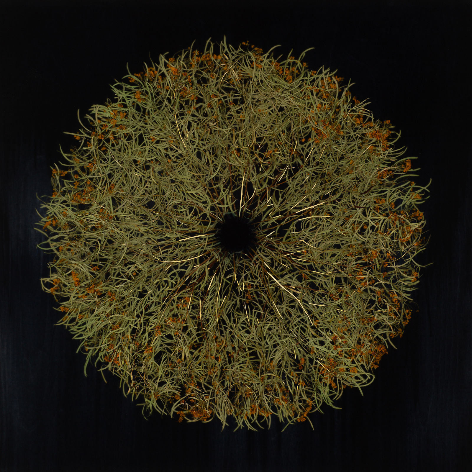 Mayme Kratz, Vanishing Light 46, 2024