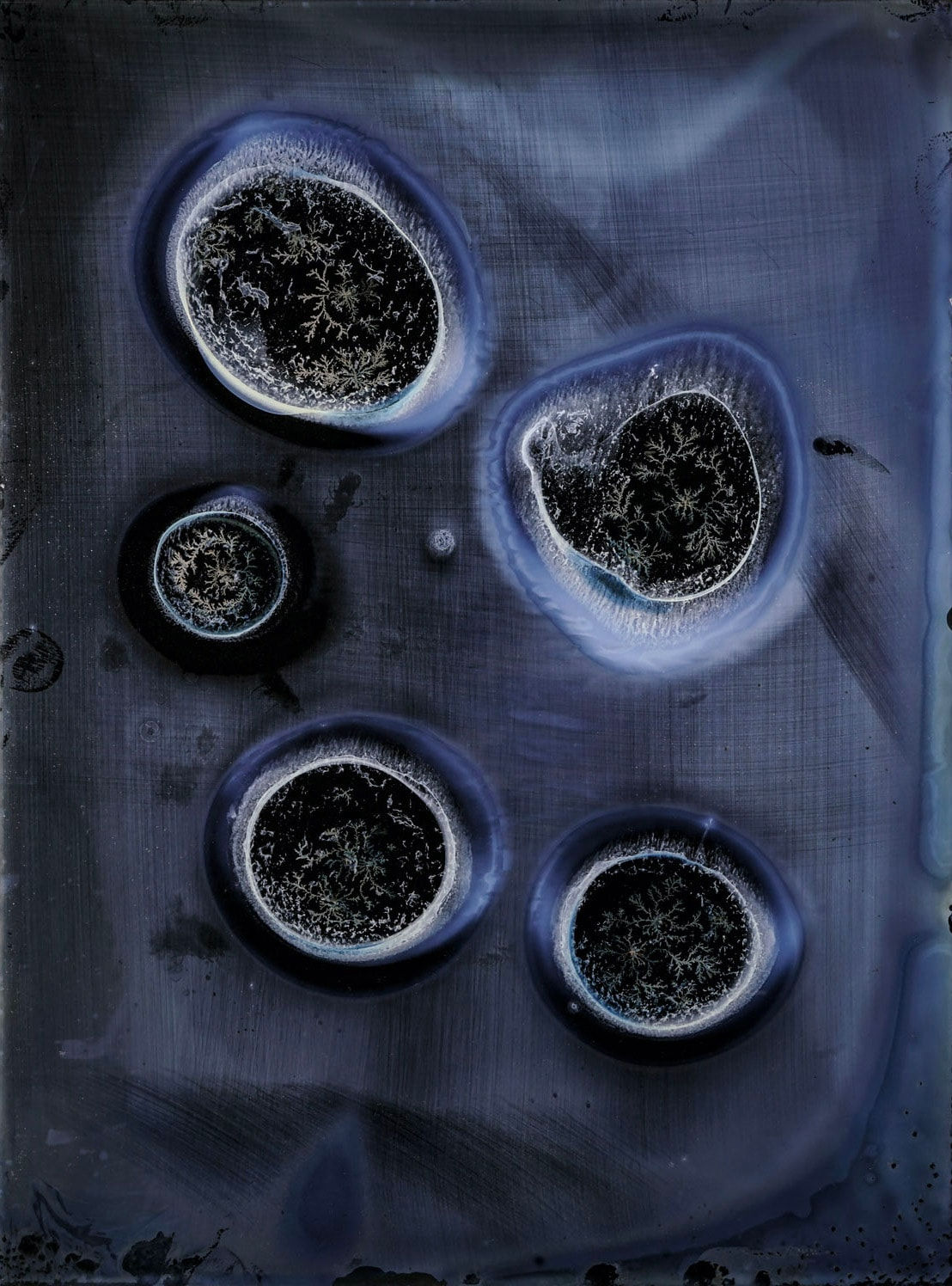 Michael Koerner, Maru #7745, 2018