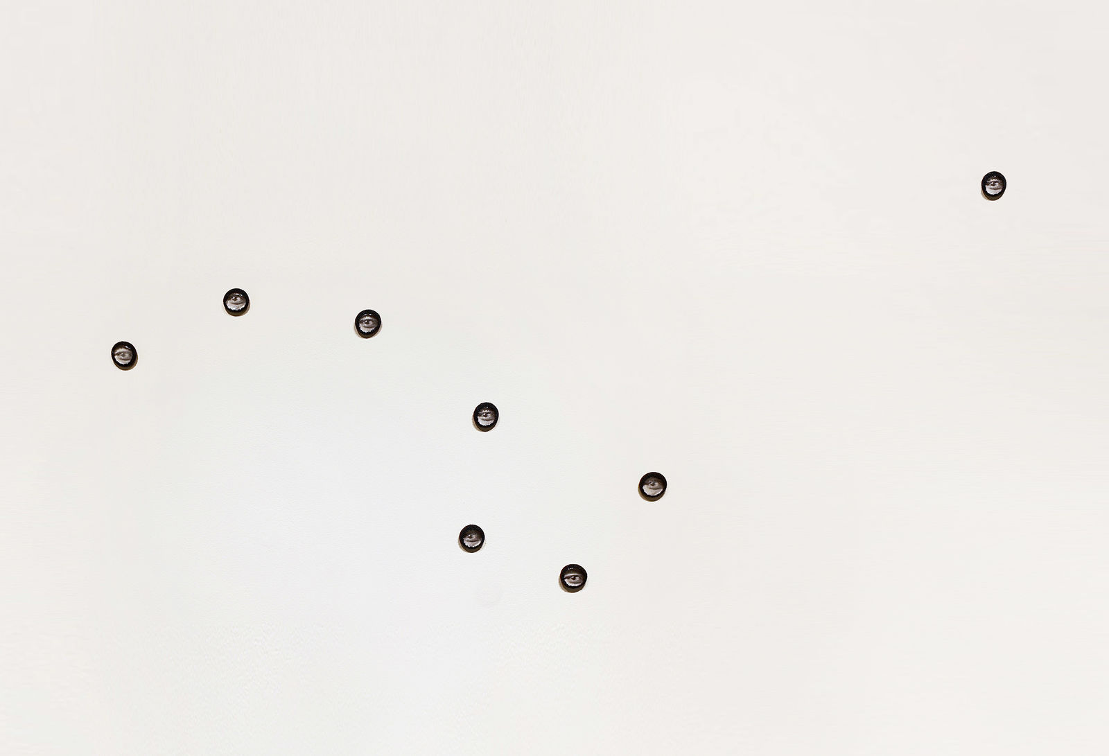 Sonya Clark, Eyes on Freedom (Frederick Douglass), 2022