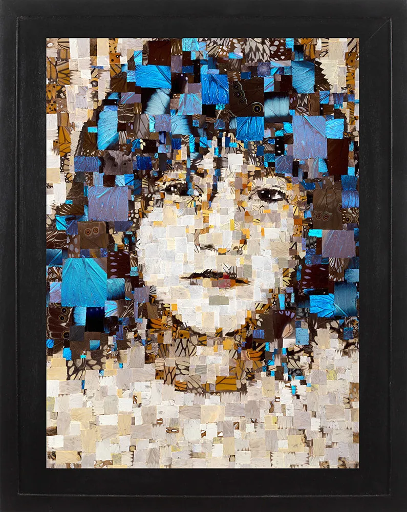 Benjamin Timpson, Rhia, 2022