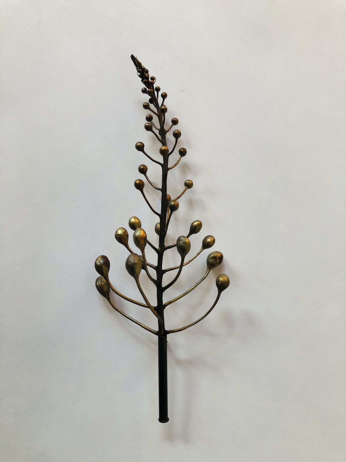 Beverly Penn, LS 225 Red Bird of Paradise, 2026