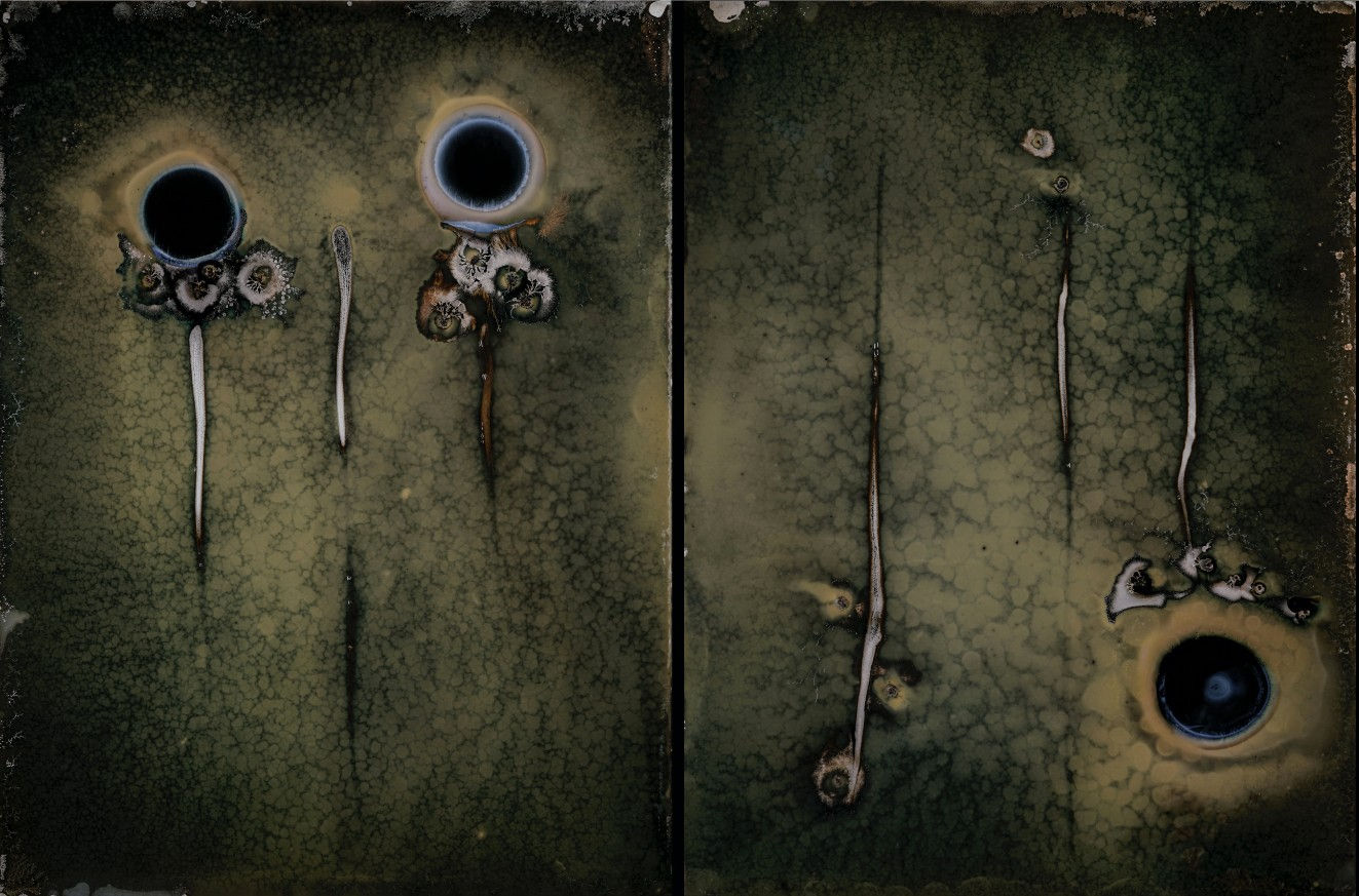 Michael Koerner, Telos DNA #8781L - #8773R, 2019