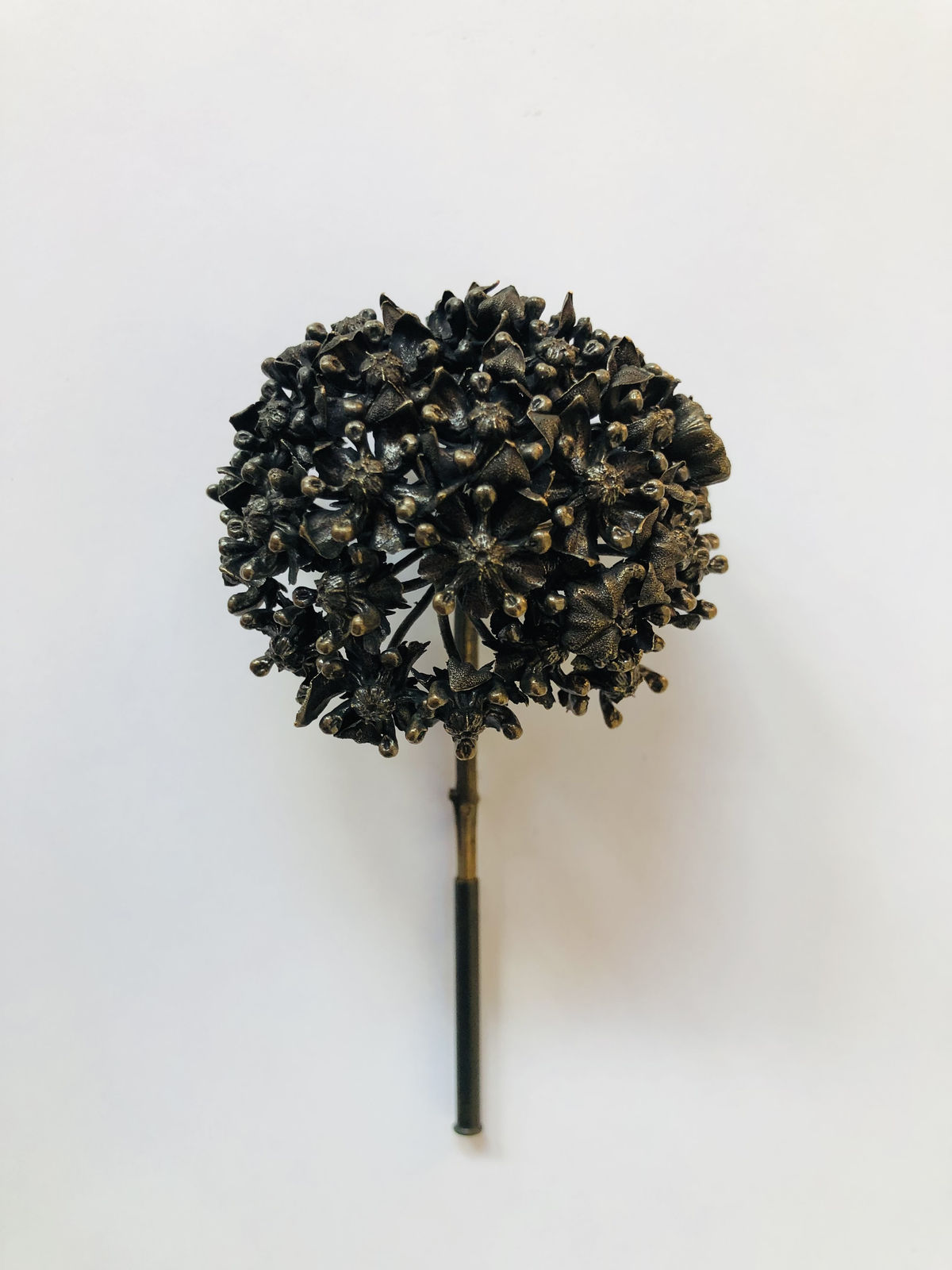 Beverly Penn, Antelope Milkweed 3, 2026