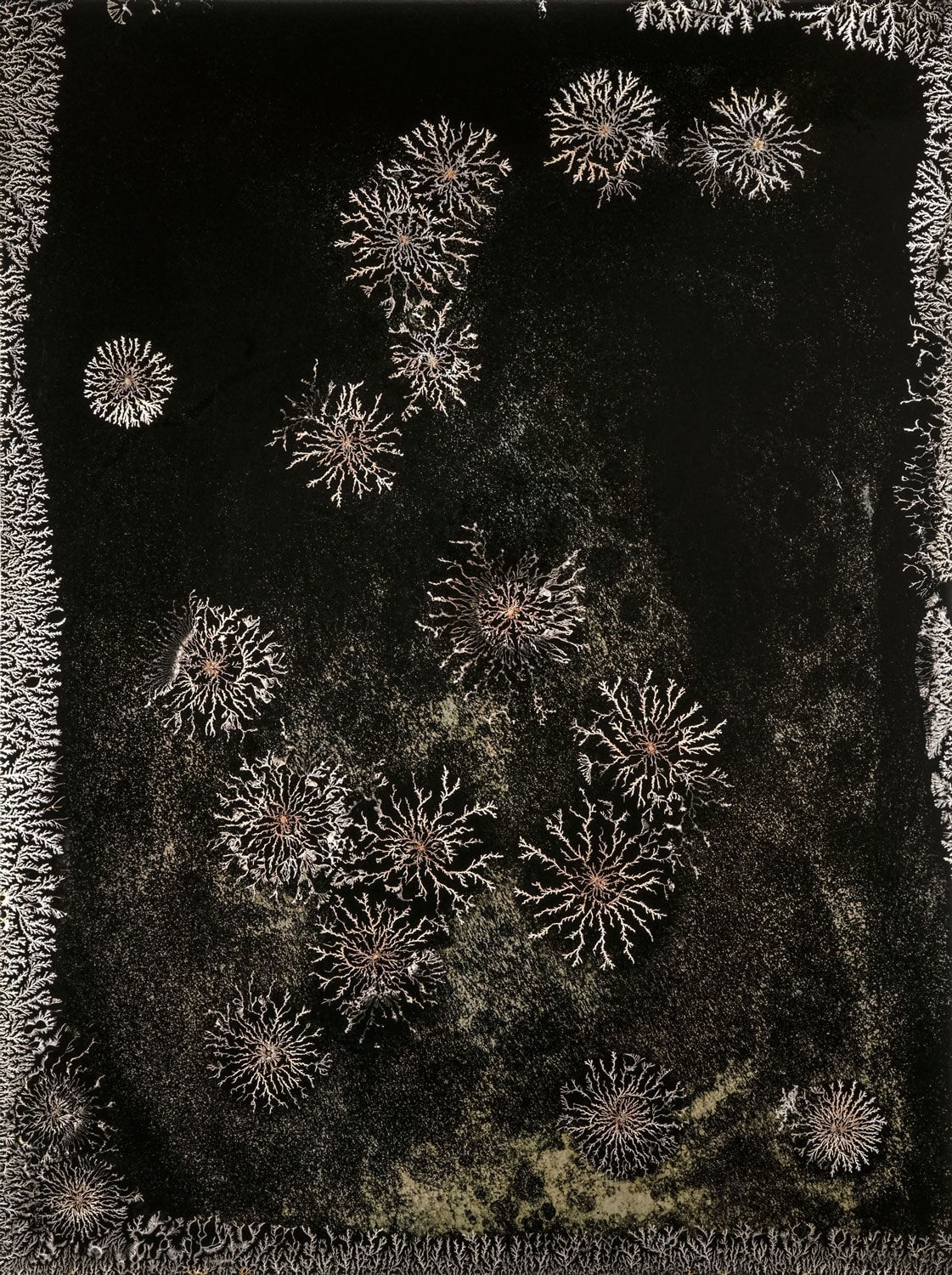 Michael Koerner, Shifted #7528, 2018