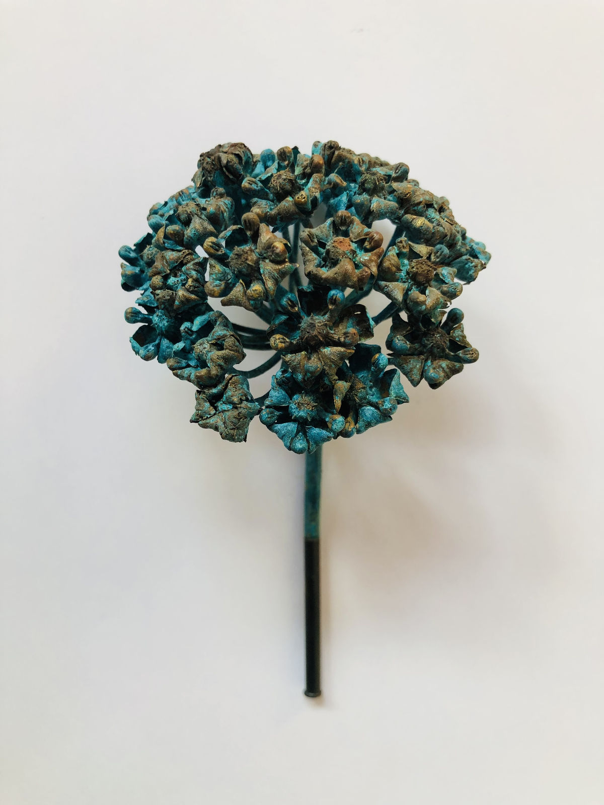 Beverly Penn, Antelope Milkweed 2, 2026