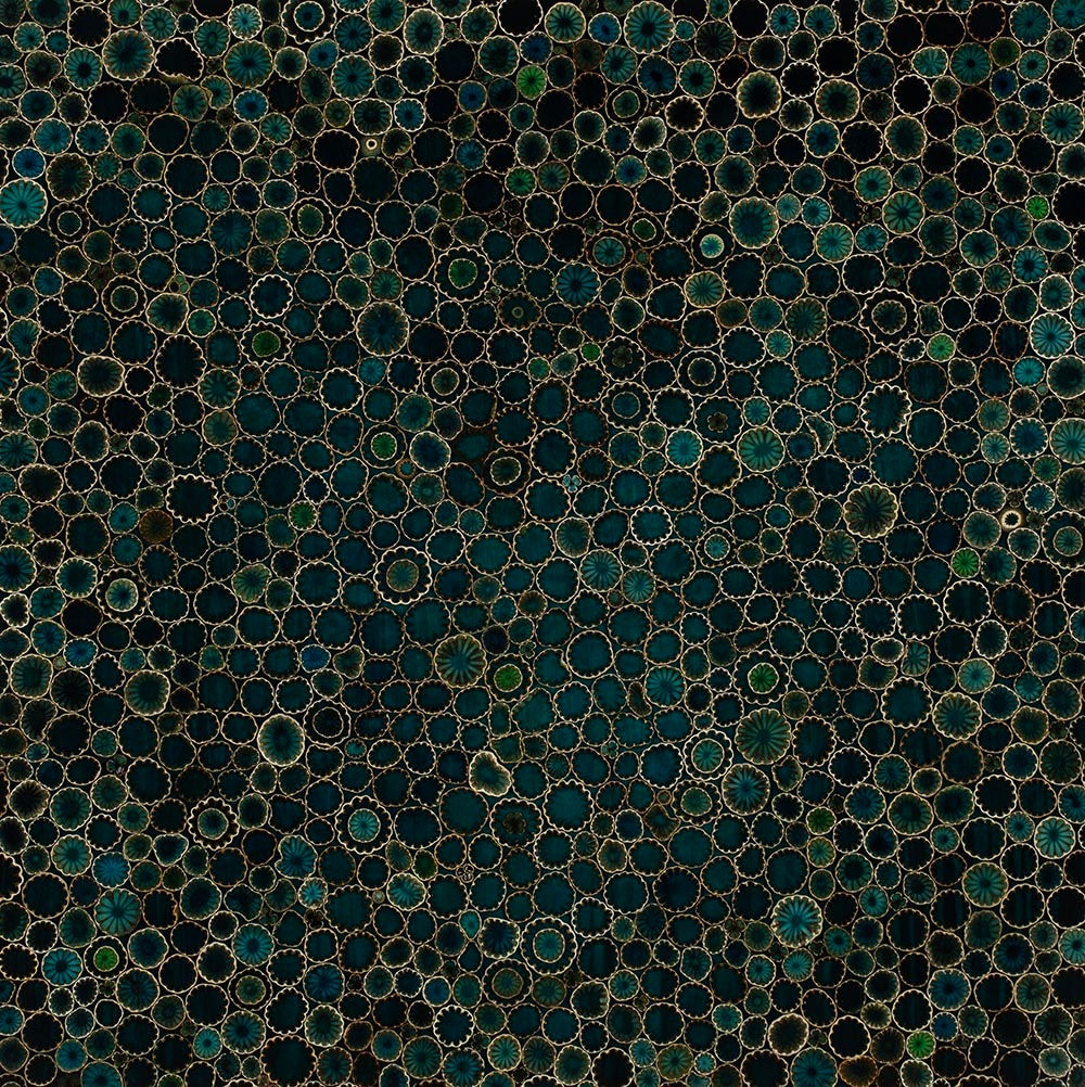 Mayme Kratz, Winter Bloom 1, 2023