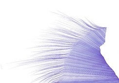 Marile Holzner, aus Serie o.T. (rechts unten), 2021