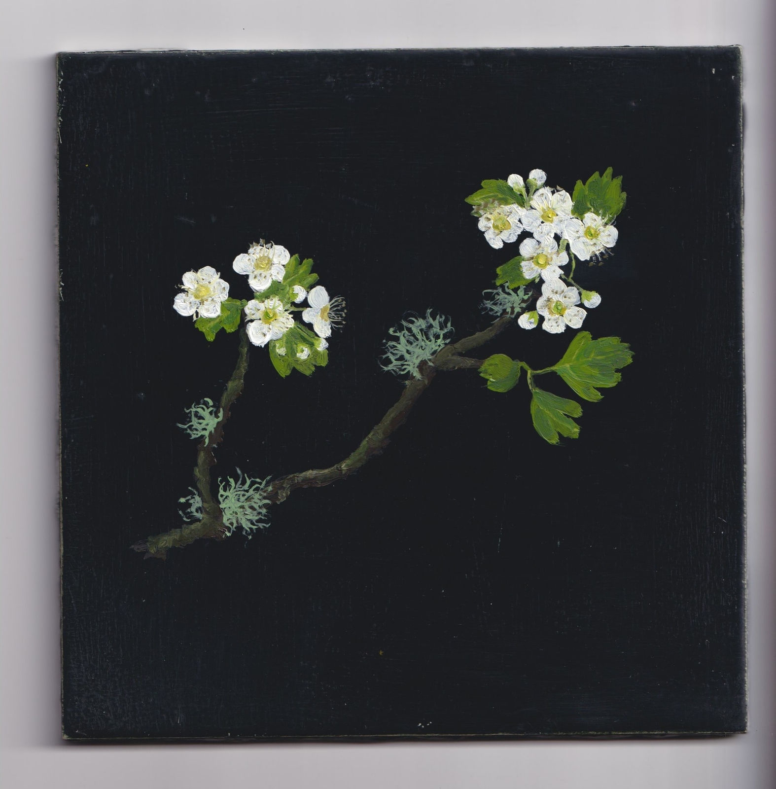 Melanie Miller, Hawblossom, 2023