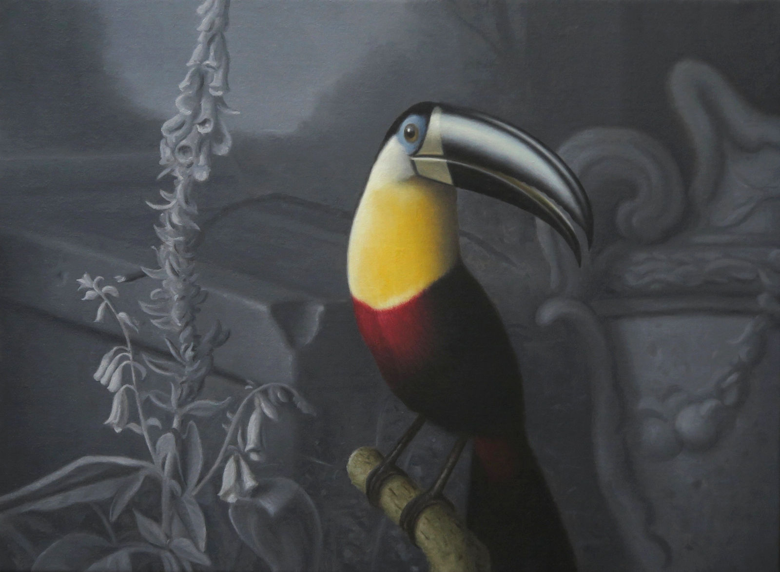 Nicholas Pace, Sulphur Breasted Toucan