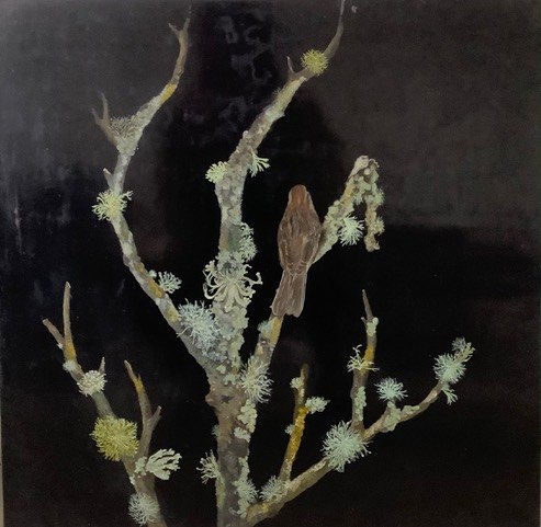 Melanie Miller, Sparrow View , 2022