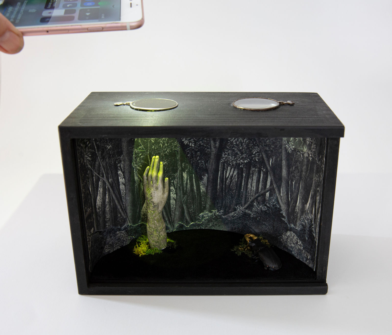 Melanie Miller, Understory- Sylvan, 2023