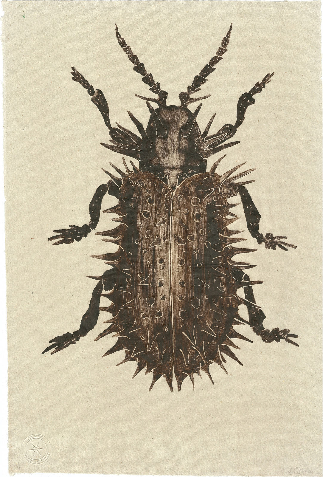 Walter Oltmann, Hispa I, 2024