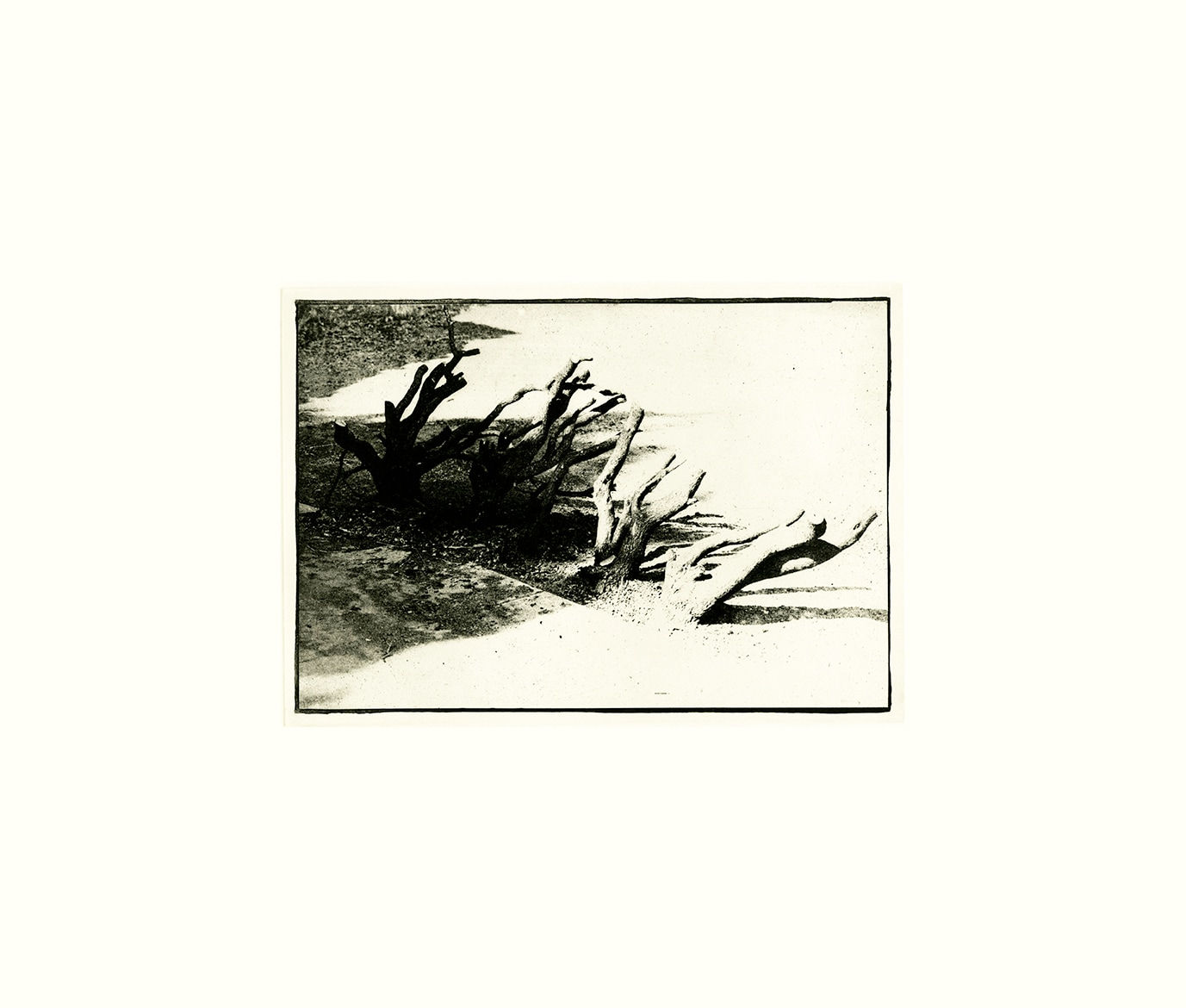 David Lynch, Untitled VI, 1999