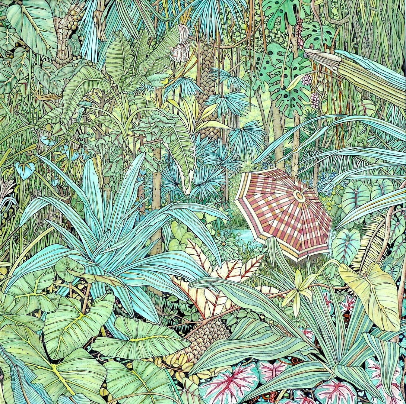 Meg Dutton RE, The Rain Forest
