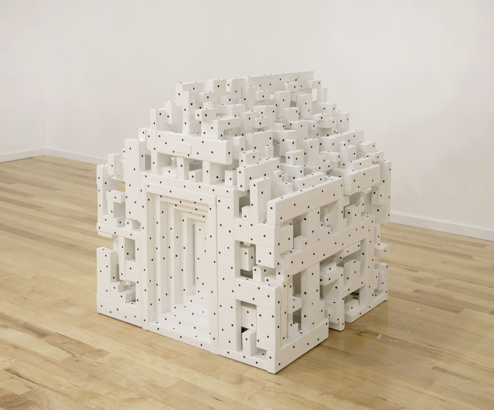 Tom Friedman, DogHouse, 2020