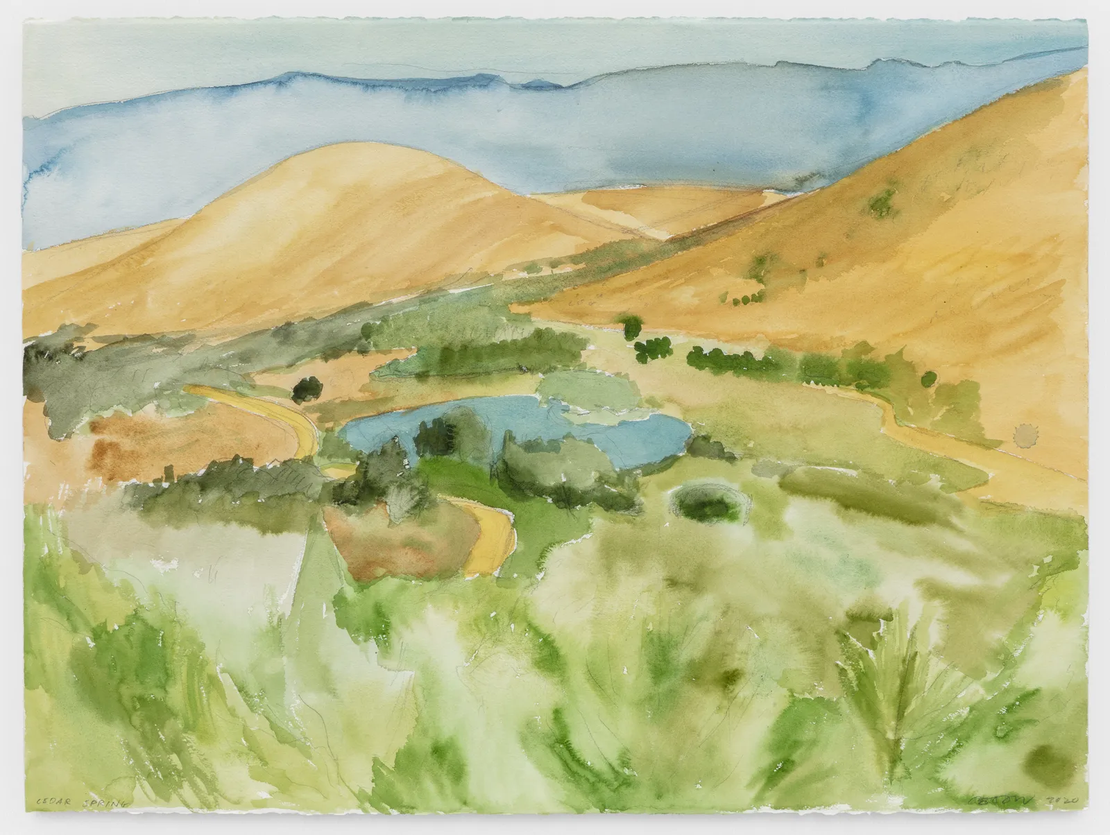 Oscar Tuazon, Cedar Spring, 2020