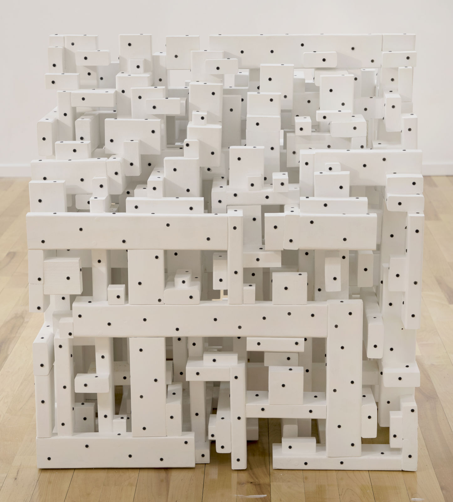 Tom Friedman, DogHouse, 2020