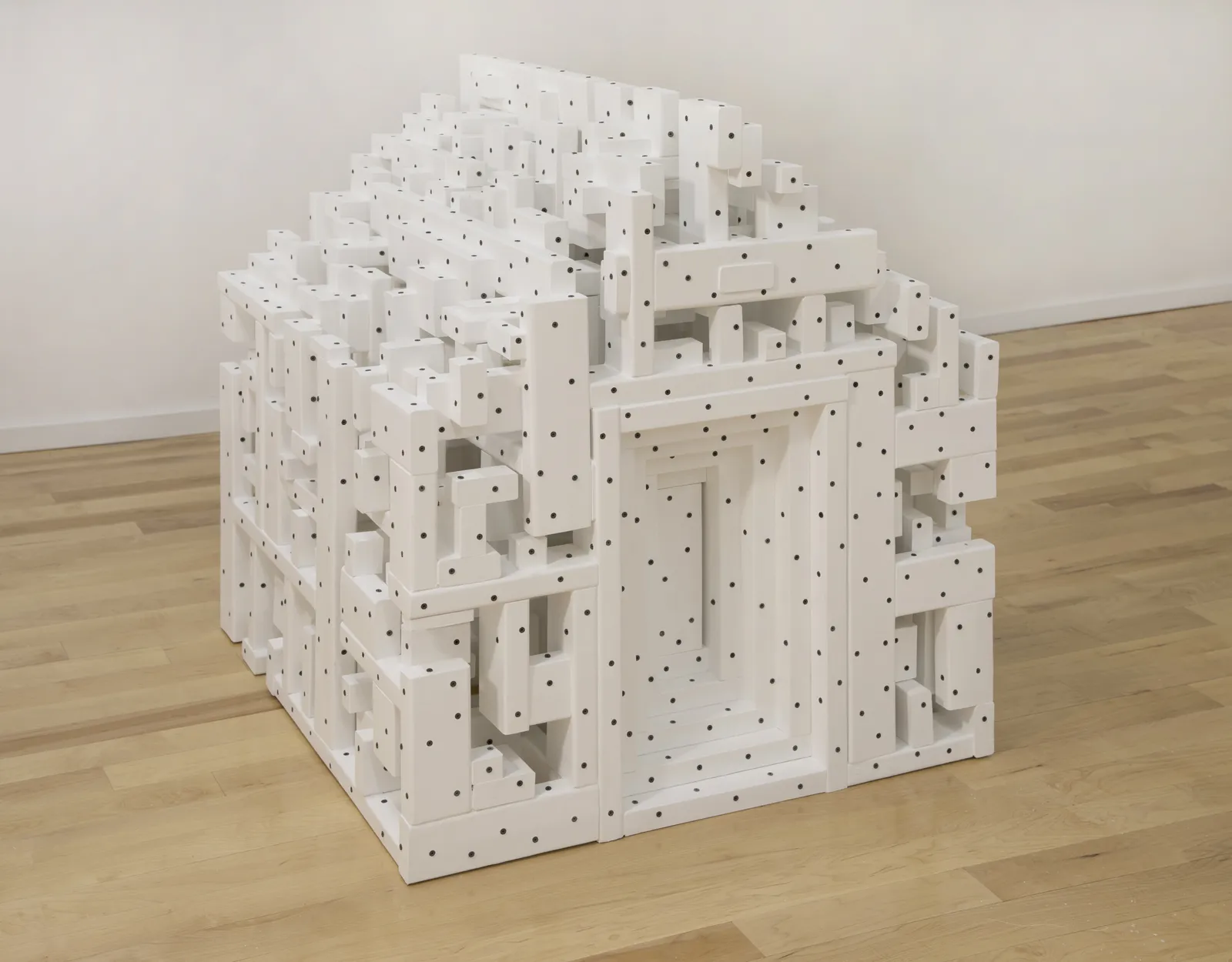 Tom Friedman, DogHouse, 2020