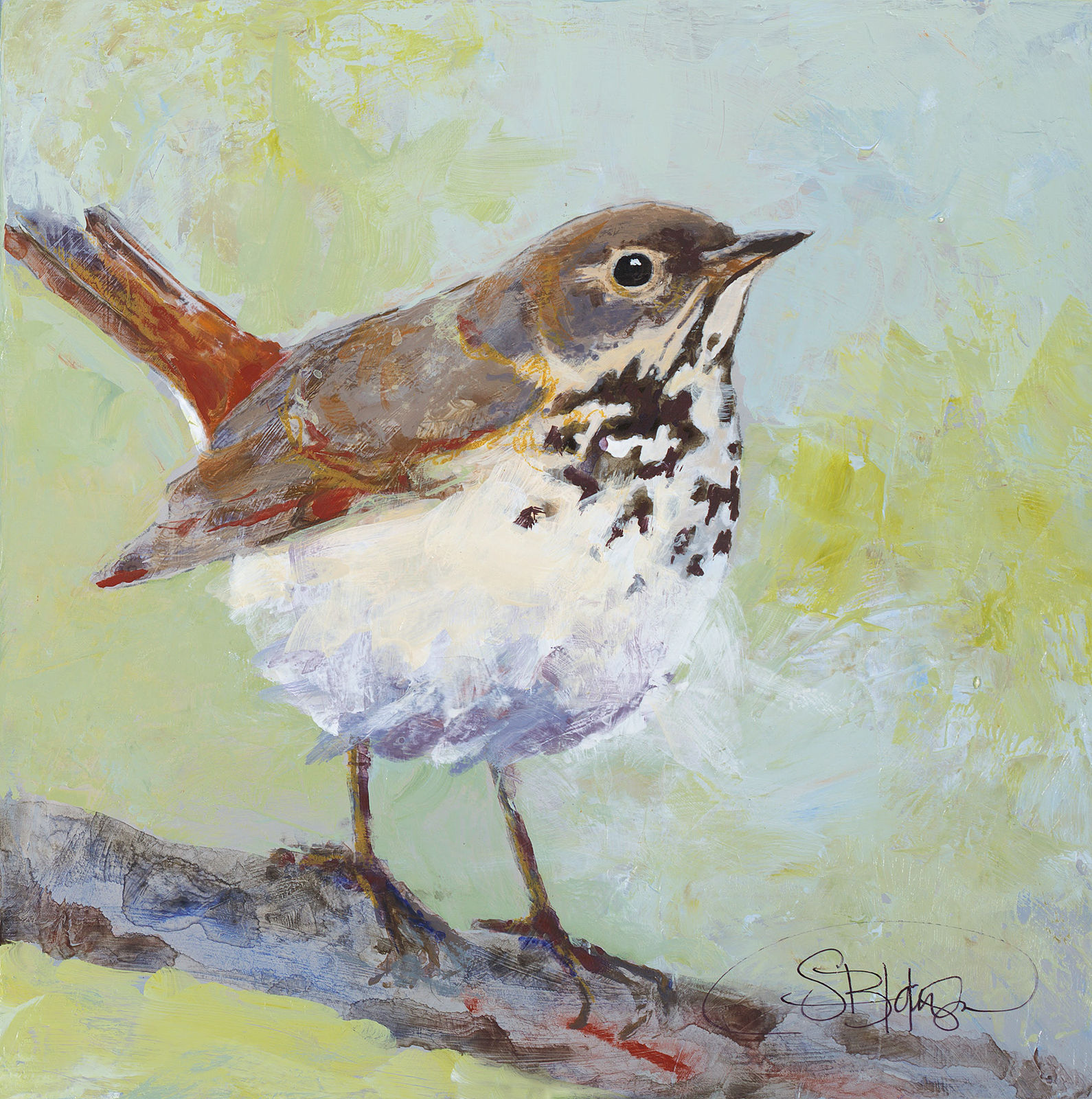 SARAH B HANSEN, HERMIT THRUSH, 2020