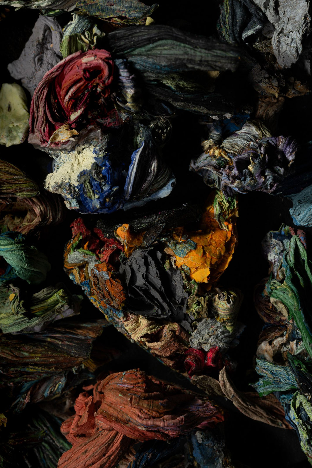 HELÉNA DUPRE THOMPSON, Detritivore (Jen Crowe's studio 4), 2024