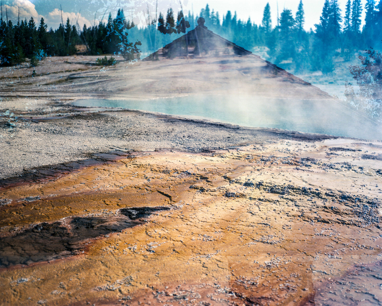 MIKE VOS, A Chimeric Vision, 2021