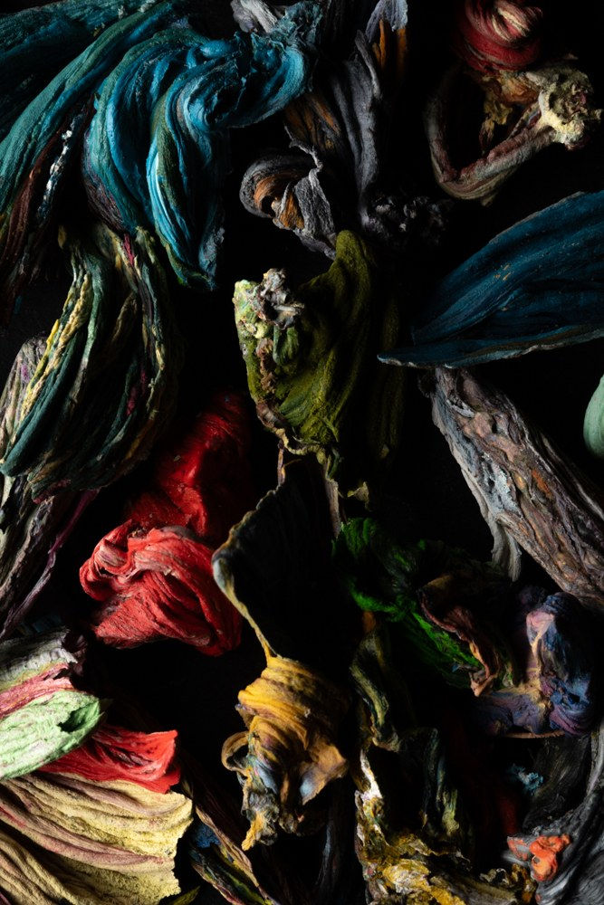 HELÉNA DUPRE THOMPSON, Detritivore (Jen Crowe's studio 5), 2024