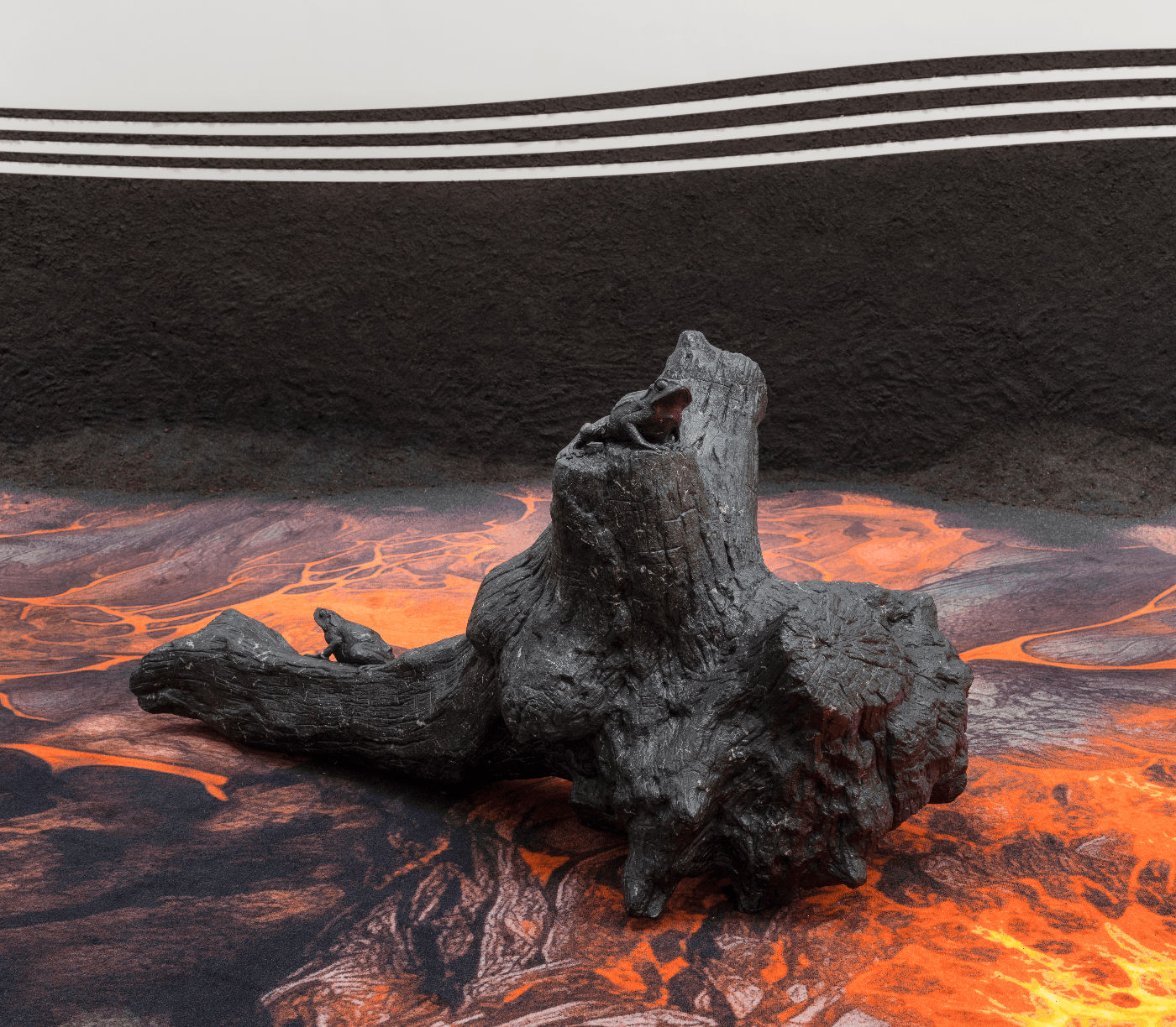 Claudia Comte, Two Golden Toads on Driftwood, 2024